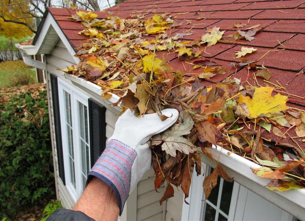 Vermont Gutter Company | Is it Time to Get a Gutter Cleaning Services?